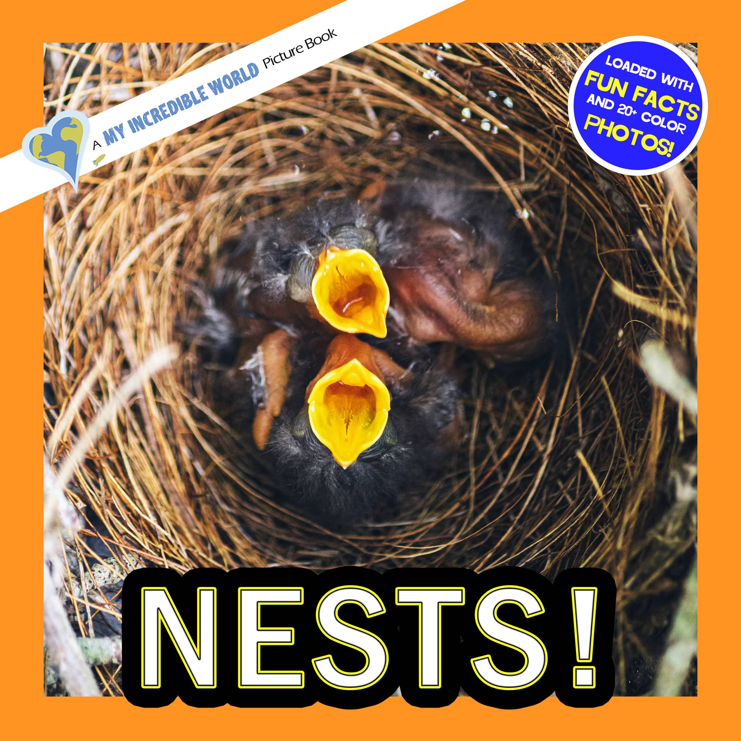 Nests! A My Incredible World Picture Book for Children
